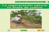 La regeneración natural en áreas de cultivo
