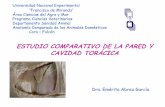 ESTUDIO COMPARATIVO DE LA PARED Y CAVIDAD TORÁCICA