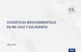 Estadísticas medioambientales en INE-Chile y sus avances