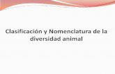 Clasificación y Nomenclatura de la diversidad animal