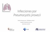 Infecciones por Pneumocystis jirovecii - ICSCYL
