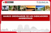 MARCO ORDENADOR DE LOS INDICADORES AMBIENTALES