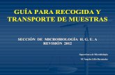 GUÍA PARA RECOGIDA Y TRANSPORTE DE MUESTRAS