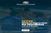 DTM - Displacement