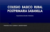 COLEGIO BASICO RURAL POSTPRIMARIA SABANILLA