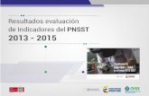 Resultados evaluación de Indicadores del PNSST