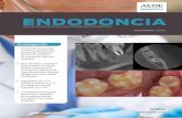 AEE-11 Revista Endodoncia V38 N3 2020