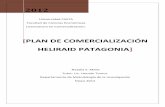 Plan de Comercialización Heliraid Patagonia