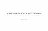 Pronósticos del Sector Real en el Banco de México