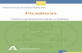 Protocolo Asistencial Consulta de acogida: PICADURAS