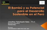 El Bambú y su Potencial para el Desarrollo Sostenible en ...