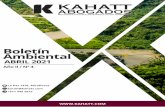 Boletín Ambiental - Kahatt