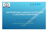 MICROBIOMA HUMANO INTESTINAL Y LACTANCIA MATERNA