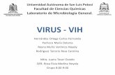 VIRUS - VIH - Universidad Autónoma de San Luis Potosí