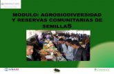 MODULO: AGROBIODIVERSIDAD Y RESERVAS …