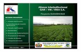 Alianza Interinstitucional GAR – VM / ITIKA S.A.