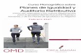 Curso Monográfico sobre Planes de Igualdad y Auditoría ...