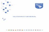GLOSARIO GENERAL - GAFILAT