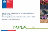 Curso -Taller Indicadores de Biodiversidad y ODS (CEPAL ...