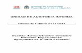 UNIDAD DE AUDITORÍA INTERNA - Argentina