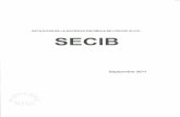 Sociedad Española de Cirugía Bucal | SECIB