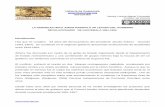 Historia de Guatemala  ISSN 2520-985X ...