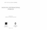 DIP JLVM Definici n y concepto de Derecho Internacional P ...