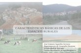 CARACTERÍSTICAS BÁSICAS DE LOS ESPACIOS RURALES