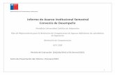 Informe de Avance Institucional Semestral Convenio de ...