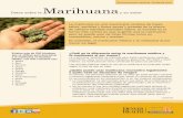Marihuana - Denver Public Health