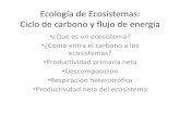 Ecología de Ecosistemas: Ciclo de carbono y flujo de energía