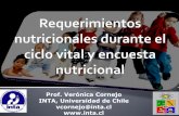 Prof. Verónica Cornejo INTA, Universidad de Chile vcornejo ...