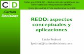 REDD: aspectos conceptuales y aplicaciones