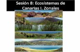 Sesión 8: Ecosistemas de Canarias I. Zonales