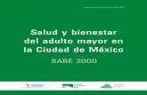 Salud y bienestar del adulto mayor en la Ciudad de México