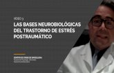 VÍDEO 3 LAS BASES NEUROBIOLÓGICAS DEL TRASTORNO DE …