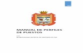 MANUAL DE PERFILES DE PUESTOS - peru.gob.pe