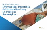 Experto Universitario en Enfermedades Infecciosas del ...
