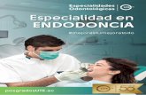 Especialidad en Endodoncia - Admisiones UTE