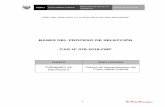 BASES DEL PROCESO DE SELECCIÓN CAS Nº 078-2018-FMP