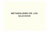 METABOLISMO DE LOS GLÚCIDOS - sld.cu