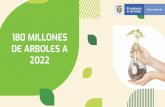 PROPUESTA SIEMBRA 180 MILLONES DE ARBOLES