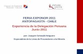 FERIA EXPONOR 2011 ANTOFAGASTA -CHILE Experiencia de la ...