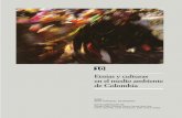 Etnias y culturas en el medio ambiente de Colombia