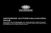 INFORME AUTOEVALUACIÓN 2018 - Academia