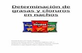 Determinación de grasas y cloruros en nachos