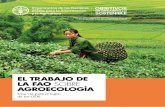 EL TRABAJO DE LA FAO SOBRE AGROECOLOGÍA