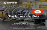 Curso Online Turbinas de Gas - cides.cl