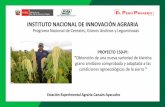 INSTITUTO NACIONAL DE INNOVACIÓN AGRARIA