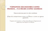 TOMAMOS DECISIONES COMO - redinse.com